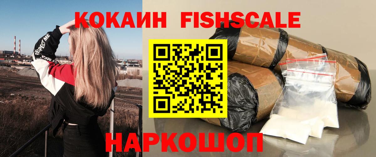 Кокаин Эквадор Элиста