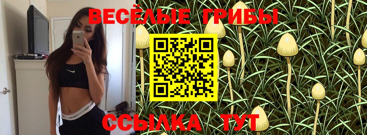 Галлюциногенные грибы прущие грибы  Вход с VPN  Элиста  Псилоцибиновые грибы MAGIC MUSHROOMS 